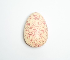 White Chocolate & Raspberries Easter Egg